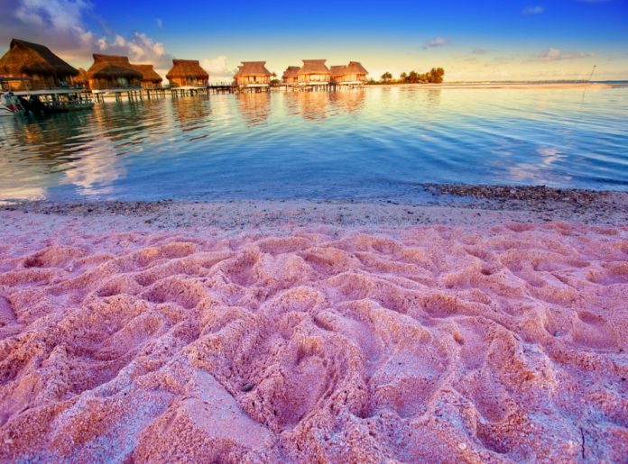 водеща снимка