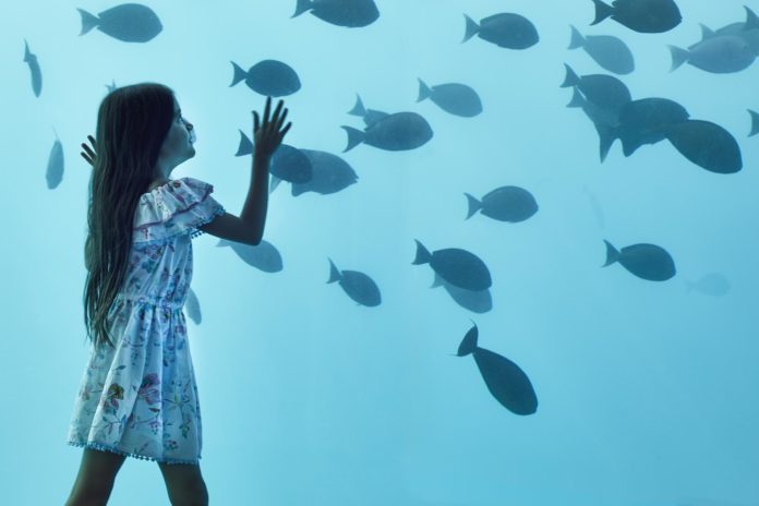 водещаfba031307d4ada08f87e576bf2186b1f