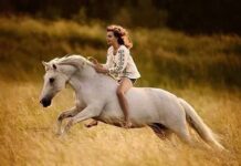След Конския Великден седем песни за коне