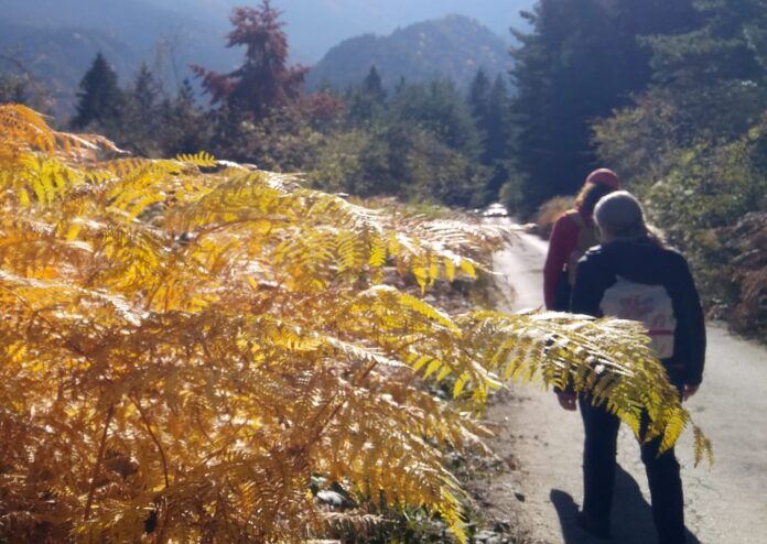 img_20241026_134326-2048x1455