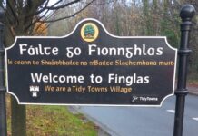 Огромна стъпка напред за ирландския език